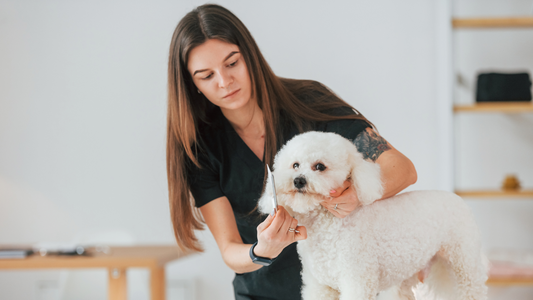 Uniformes Clínicos Para Veterinarios: Elige el Mejor Para Ti