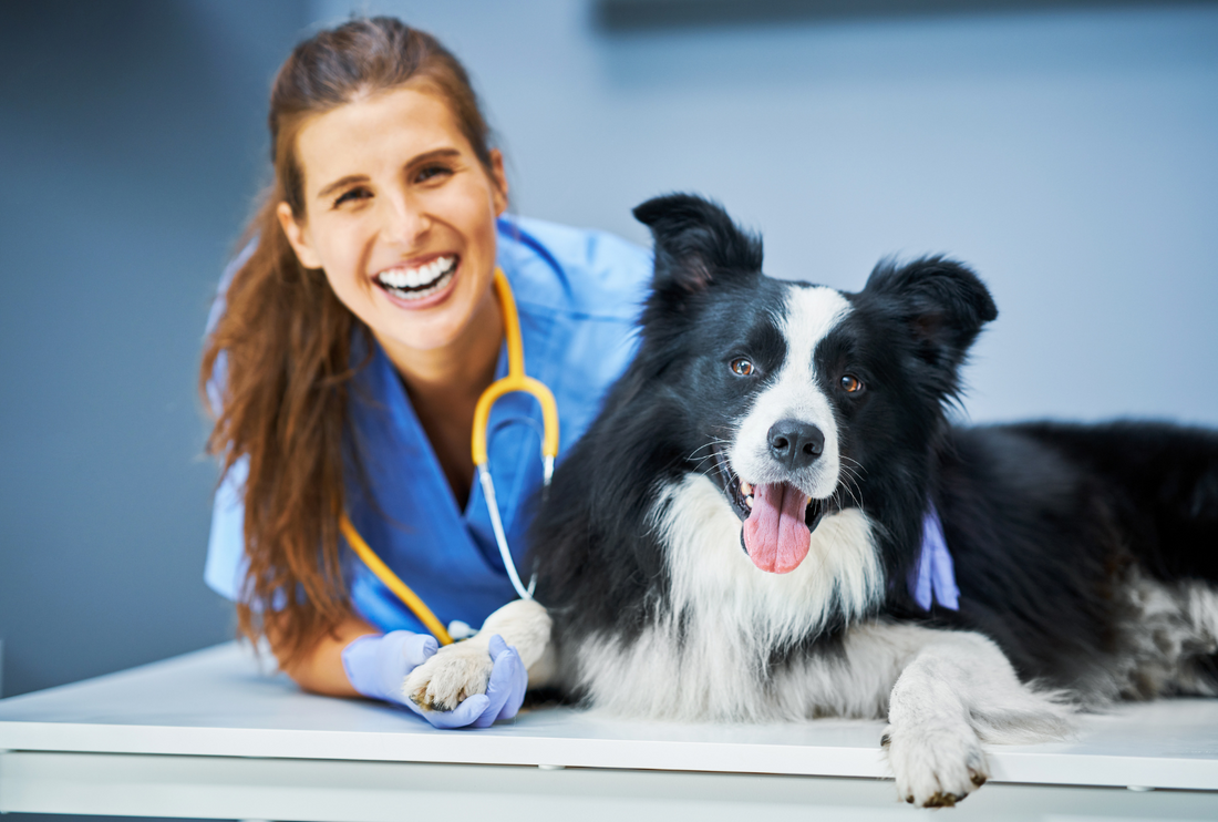 uniformes clinicos para veterinarios
