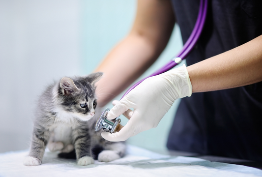 trajes clinicos para veterinarios